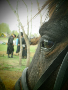 Országkerülés (559)