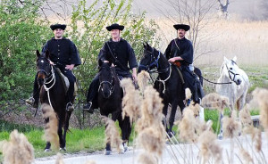 Országkerülés (64)