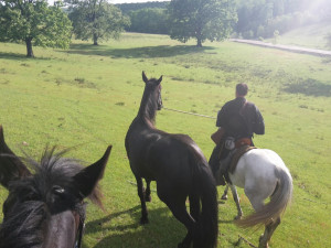 Országkerülés (675)