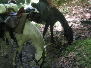 Országkerülés (723)