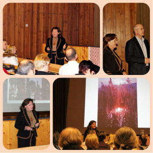 Három Nádszál 01/26